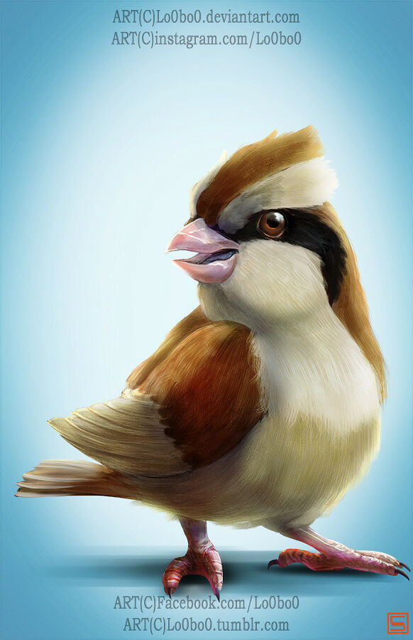 sergio-palomino-pokemon-project-016-pidgey-bylo0bo0