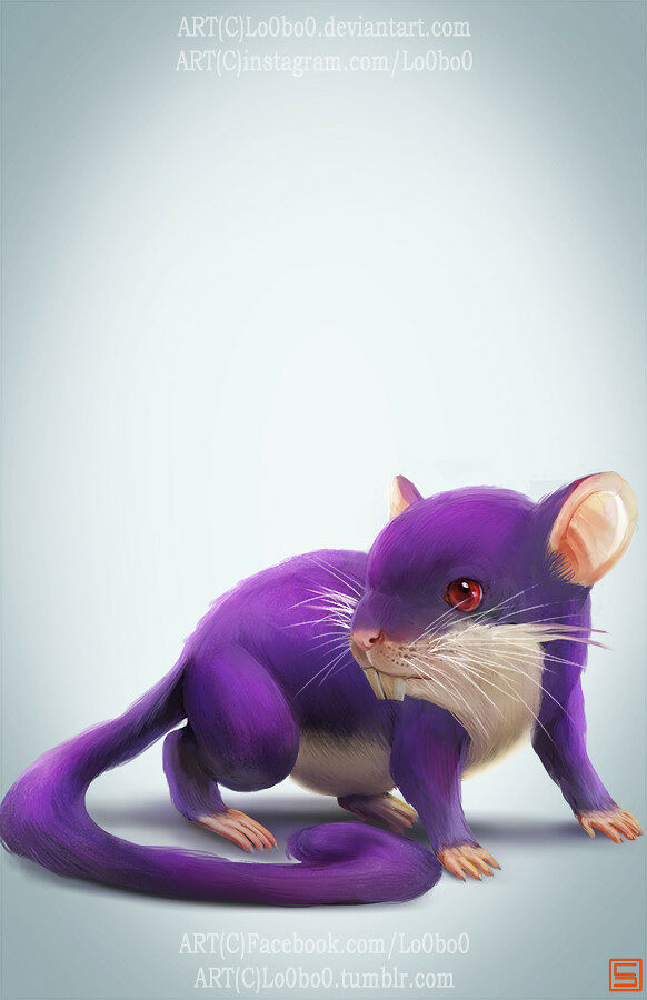 sergio-palomino-pokemon-project-020-rattata-v-bylo0bo0