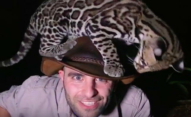 ocelot-hat