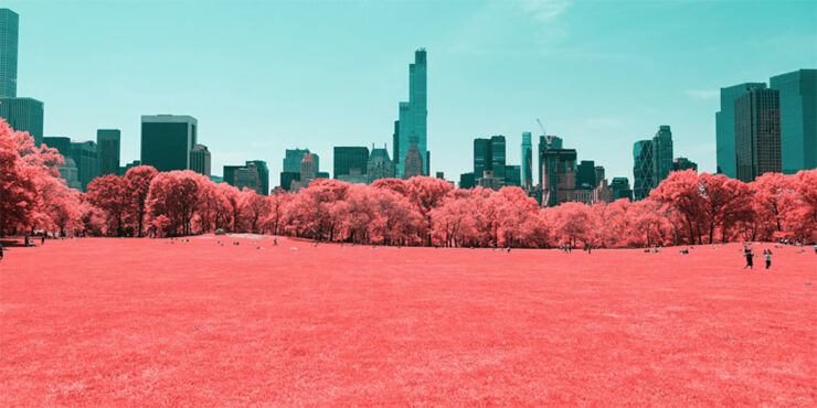 infrared-nyc