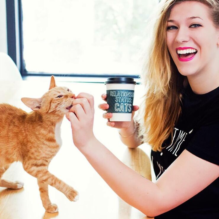 A Permanent Cat Cafe Is Coming To Los Angeles