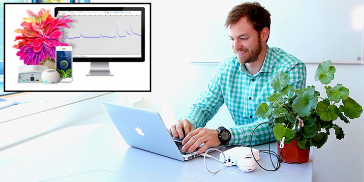 Listen-To-Plants-Talk-With-A-Device-That-Translates-Their-Electrical-Signals-Into-Sounds