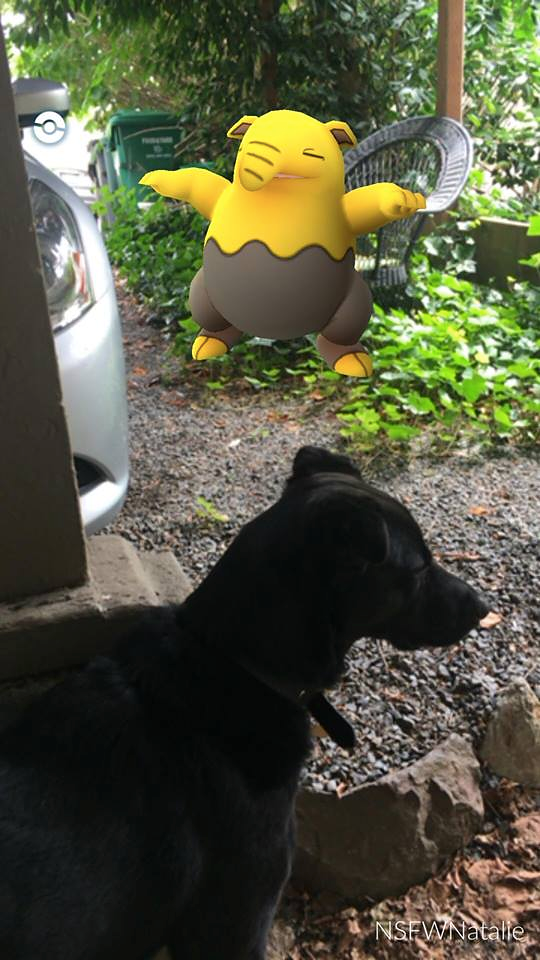 drowzee-pokemon-go-dog
