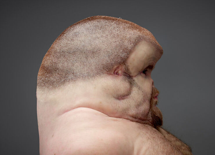 patricia-piccinini-graham-transport-accident-commission-designboom-03 (1)