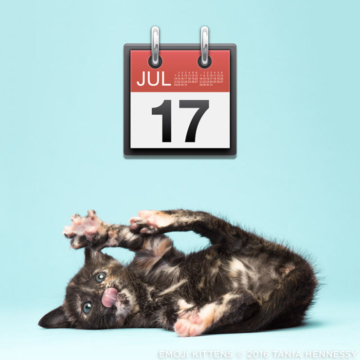 Emoji_Kittens_Tania_Hennessy_calendar__2016_Tania_Hennessy
