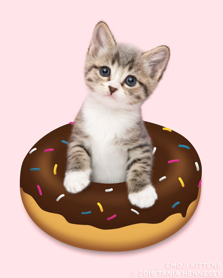 Emoji_Kittens_Tania_Hennessy_doughnut__2016_Tania_Hennessy