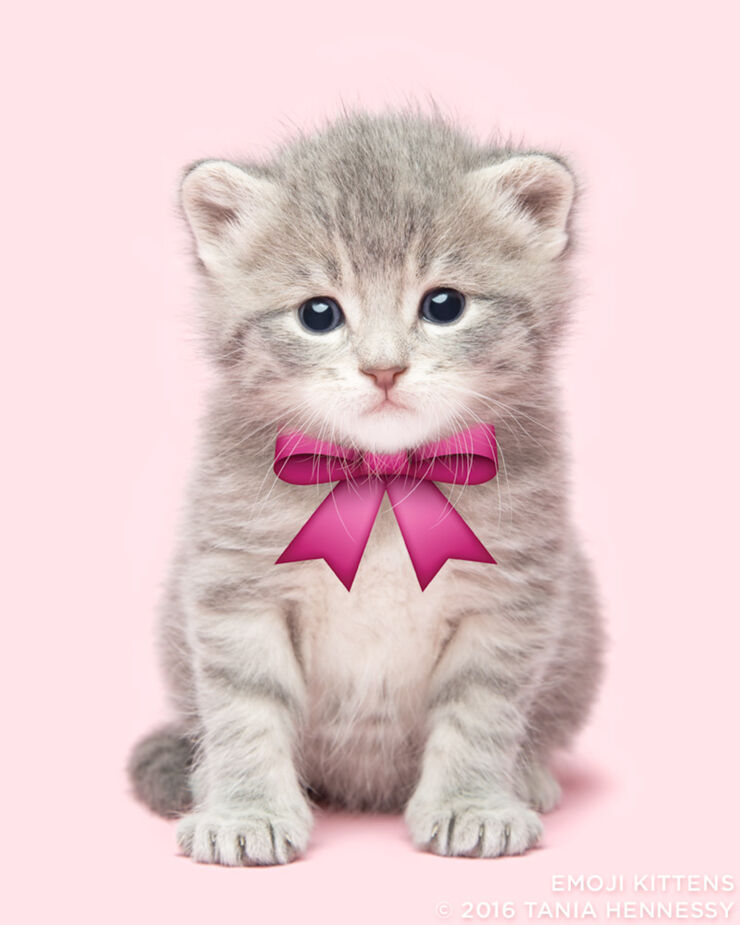 Emoji_Kittens_Tania_Hennessy_ribbon__2016_Tania_Hennessy