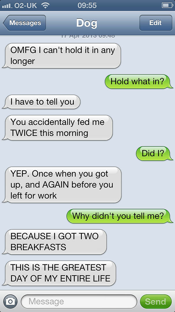 What Your Life Would Be Like If Dogs Could Text