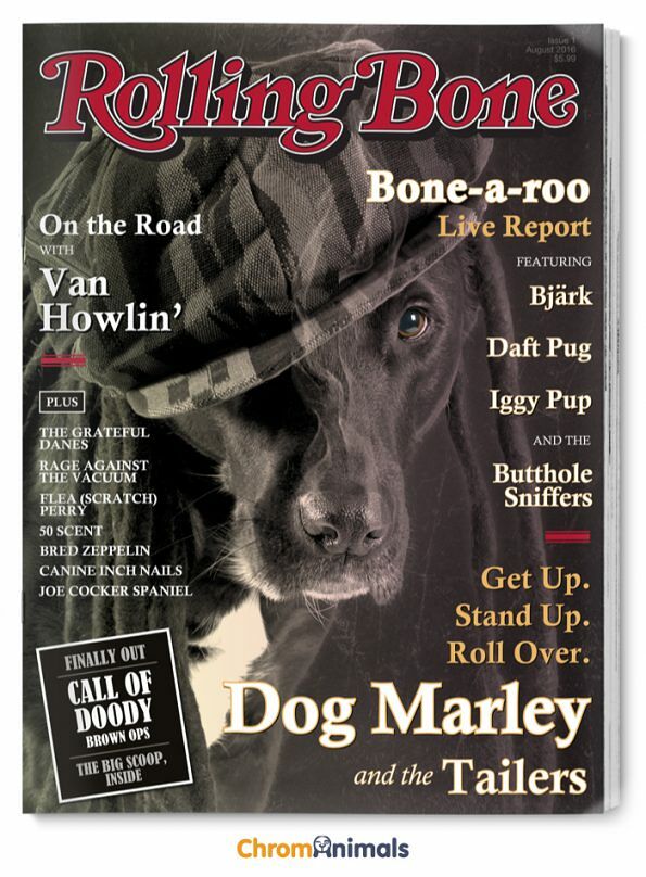 dog-magazines-5-595x808