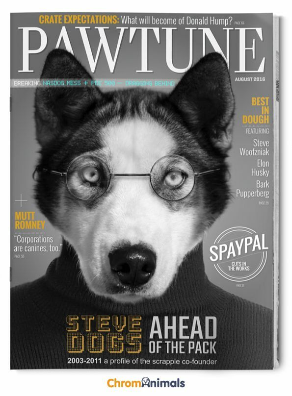 dog-magazines-9-595x808