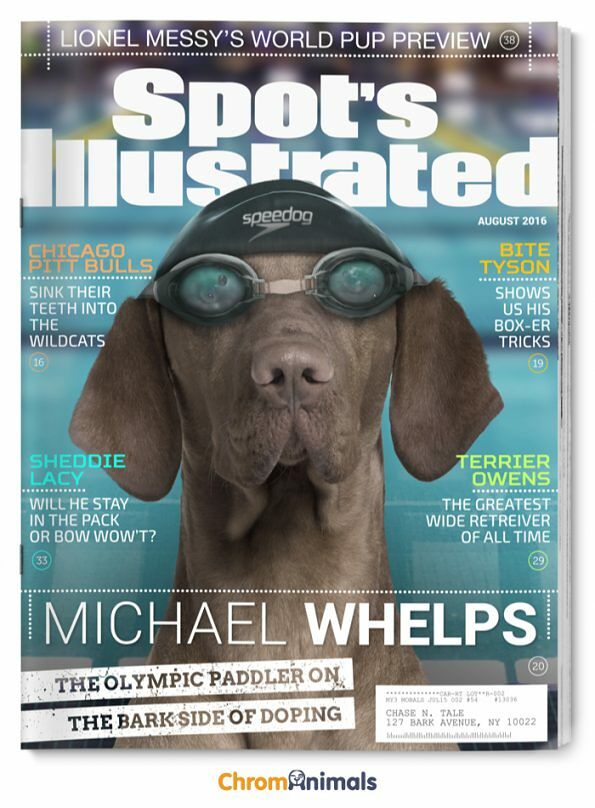 dog-magazines-11-595x808