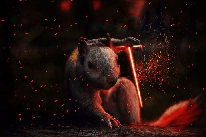 Badass Squirrel - 02