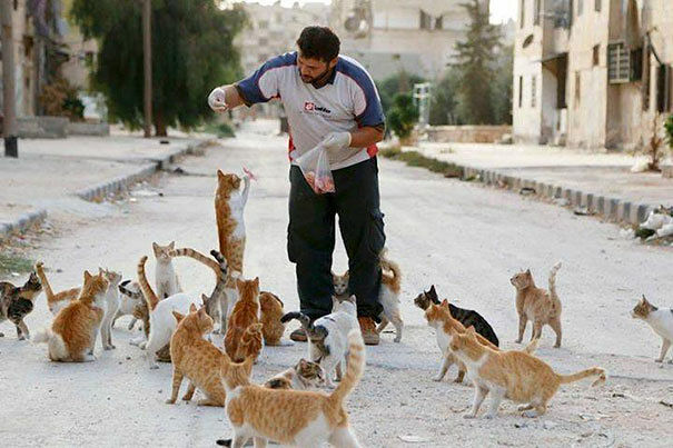 cat-man-aleppo-syria-11