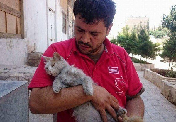 cat-man-of-aleppo-600x418