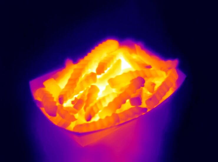 thermographic-fries