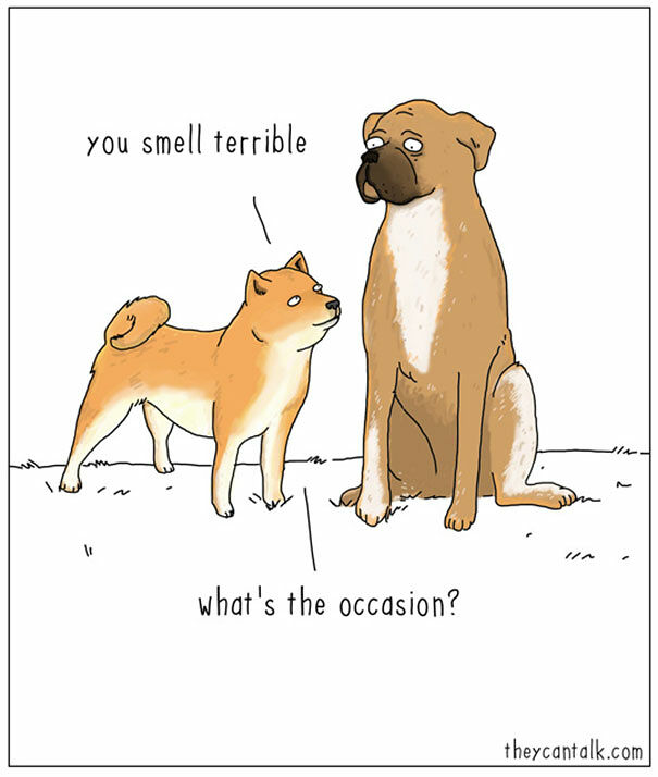 If Animals Could Talk - 13