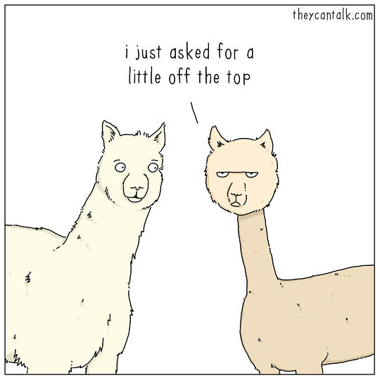 If-Animals-Could-Talk-35