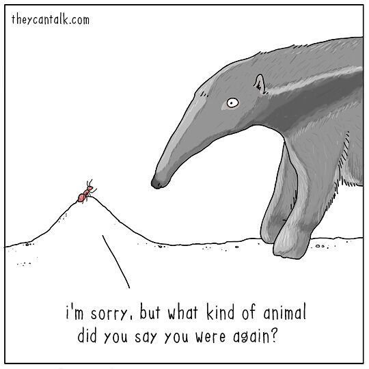 If Animals Could Talk - 5