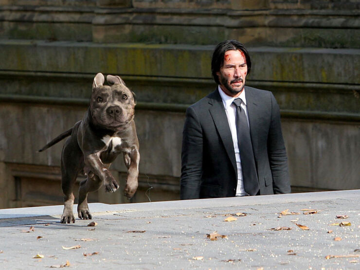 john wick pitbull shirt