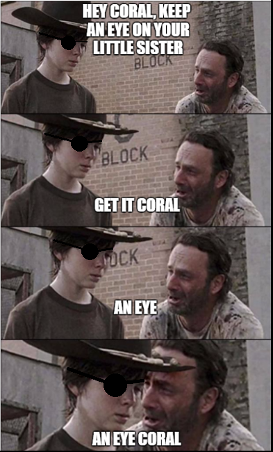 35 Of The Best Walking Dead Carl Meme (Coral) Dad Jokes