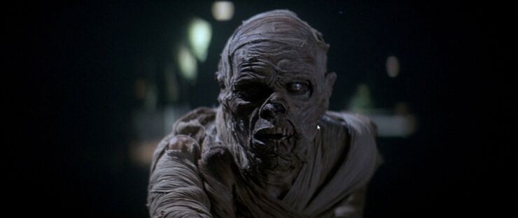 Classic Halloween Monsters The Mummy.