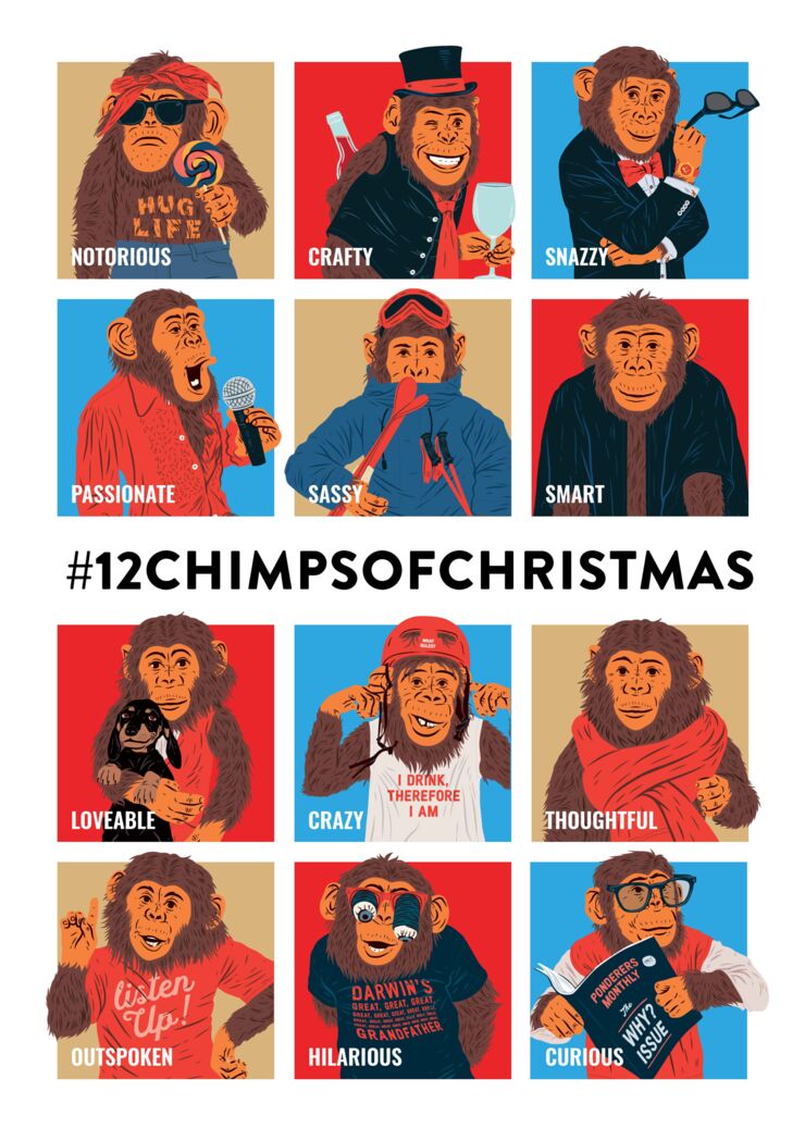 12 Chimps of Christmas_ Mugshot