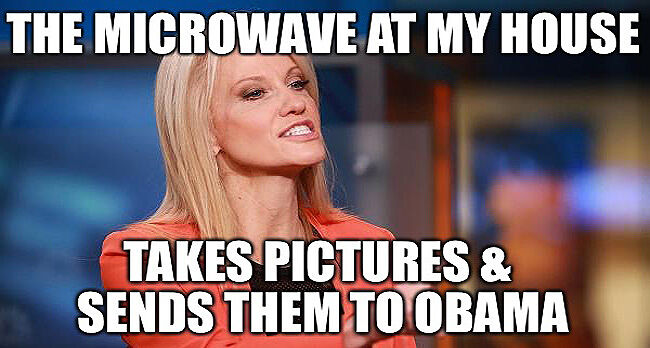 Kellyanne Conway Microwave Comment - 88