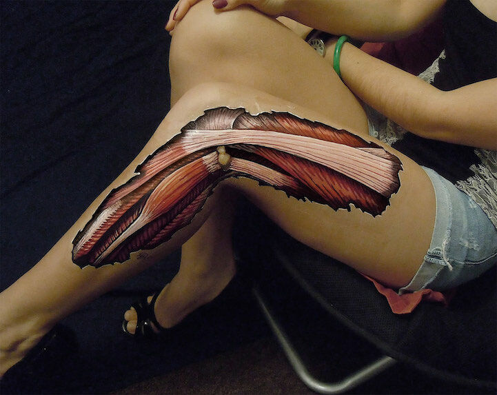 anatomy art - 09.