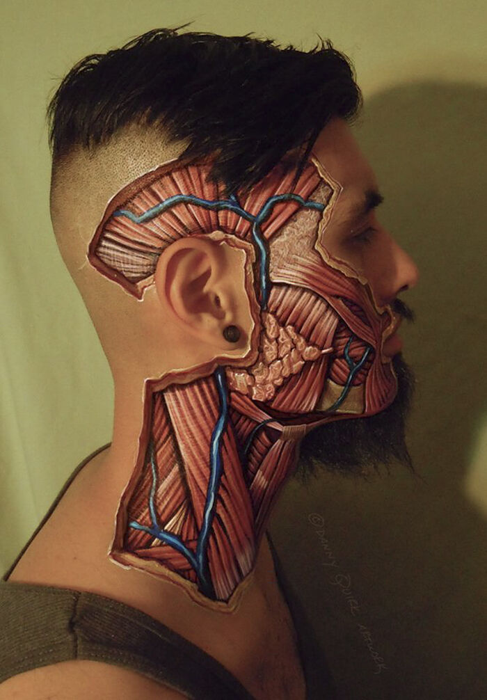 anatomy art - 14.