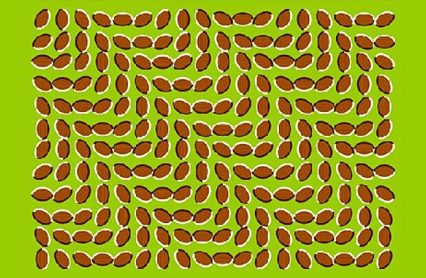 Amazing Optical Illusions and Visual Phenomena - 02.