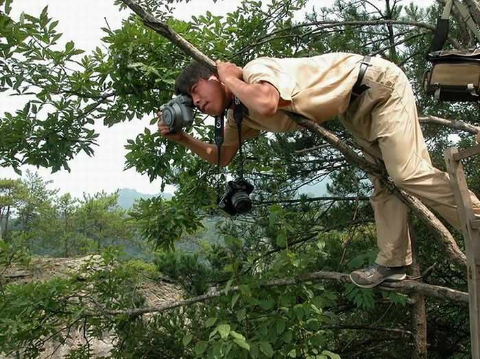 Using extreme photography techniques For the perfect shot - 16.