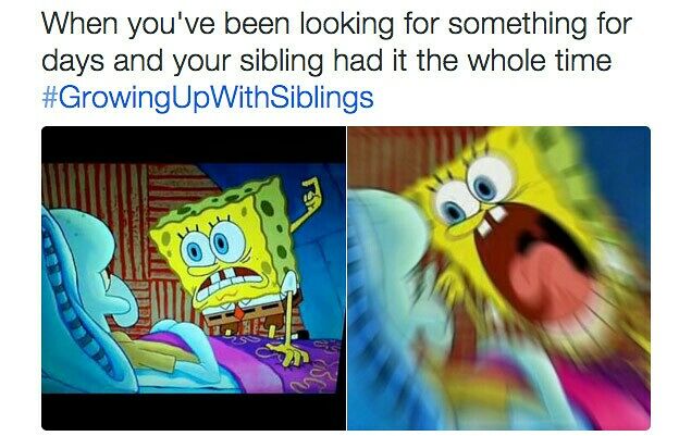 Growing Up With Siblings Memes 02a.