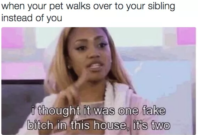 #growingupwithsiblings Memes 19.