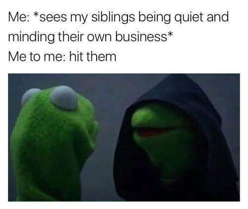 #growingupwithsiblings Memes 28.