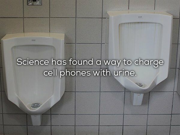 28 Cool Science Facts You Probably Didnt Learn At School 04.