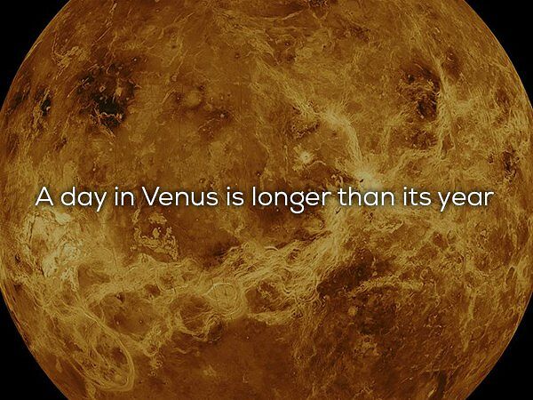 28 Cool Science Facts You Probably Didnt Learn At School 09.