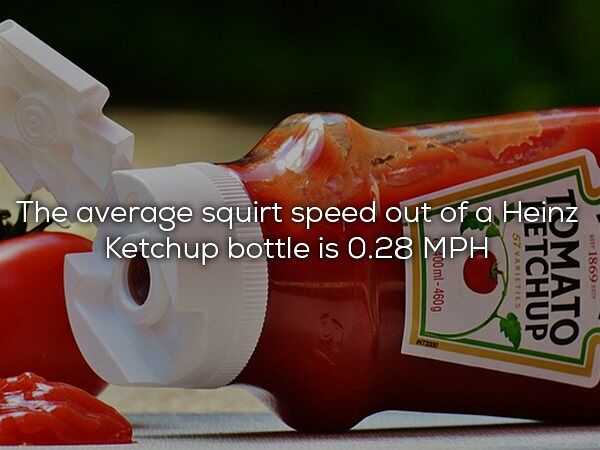 28 Cool Science Facts You Probably Didnt Learn At School 14.