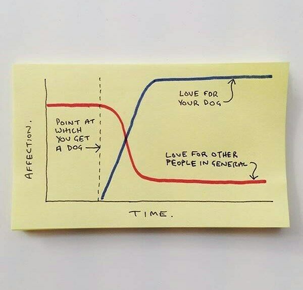 Funny Sticky Notes That Perfectly Hilariously Sum Up Adult Life