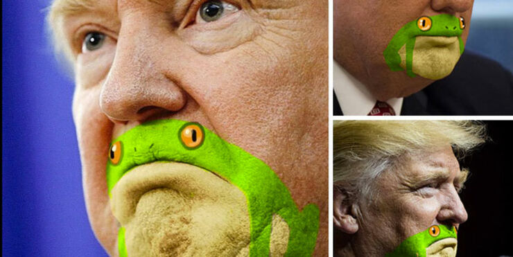 President Frog - Artist Draws Trump With a Frog on His Chin