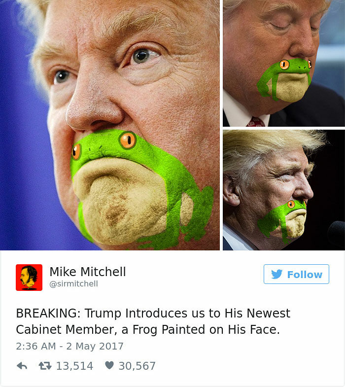 president frog 01.