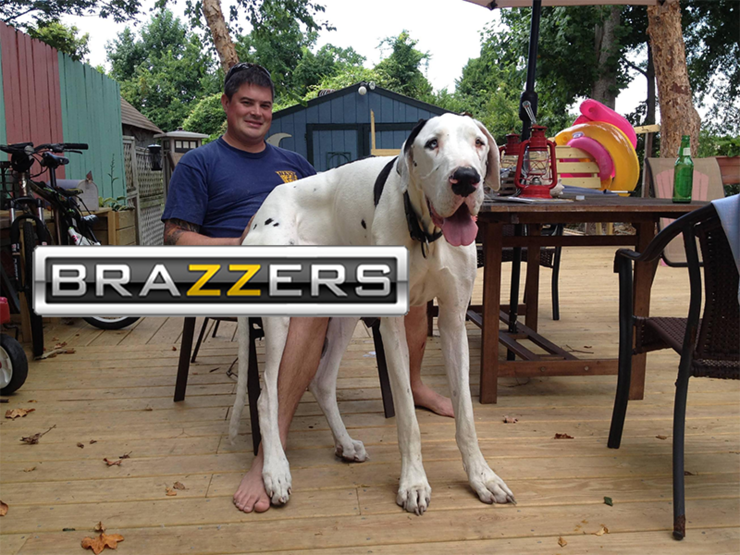 Brazzers Dog Com - 50 Pics That Become Pure Filth by Adding a Brazzers Logo