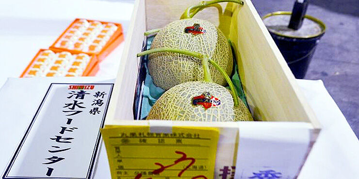 WTF Japan Seriously Yubari melons.