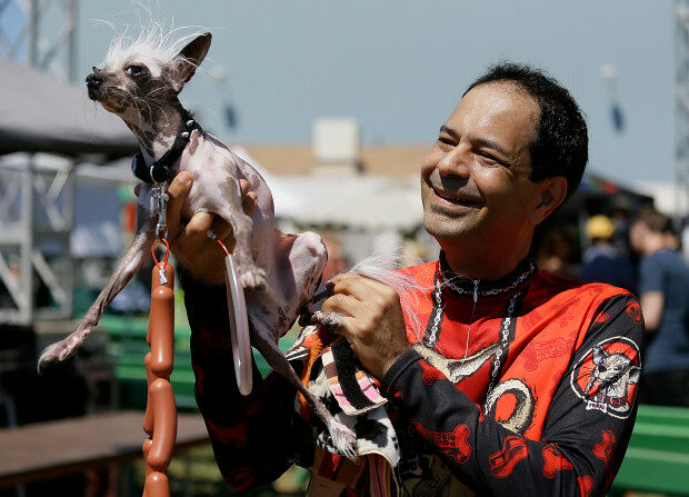 Worlds Ugliest Dog Contest cute ugly dogs 04.