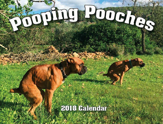 Pooping Pooches 2018 Dogs Pooping Calendar 01.