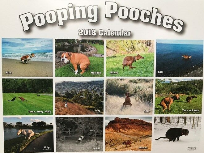 Pooping Pooches 2018 Dogs Pooping Calendar 10.