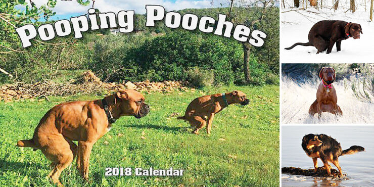 The Pooping Pooches 2018 Dogs Pooping Calendar Has Finally Arrived