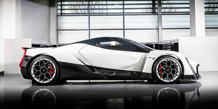 Vanda Dendrobium hypercar 23.