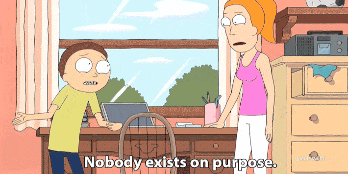 rick and morty Finding Meaning in Life 99.