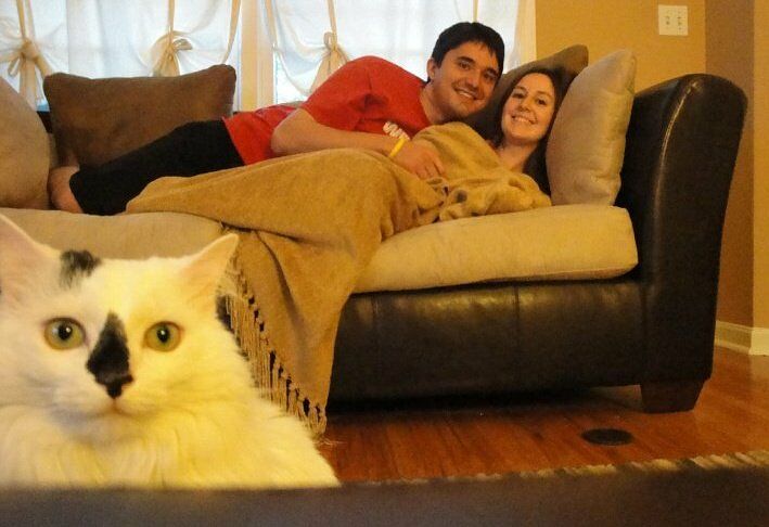 Imagine What The Planet Would Be Like If We Didn't Have Photobombing Cats